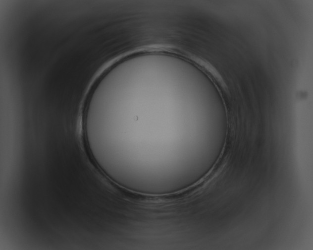 X0000100961420200806241134