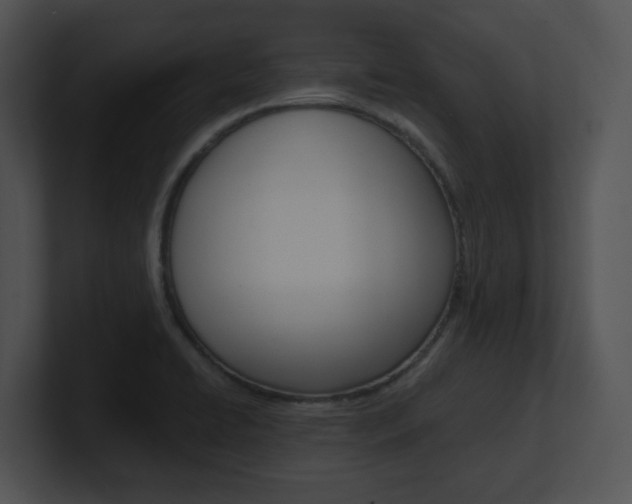 X0000100961422200806241134