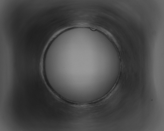 X0000100961432200806241134
