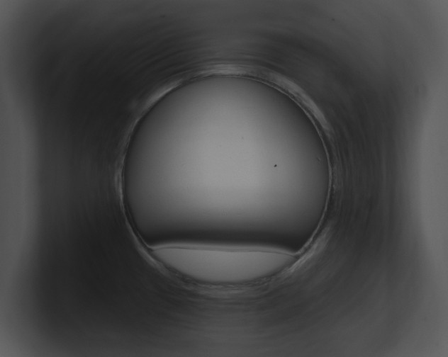 X0000100961433200806241134