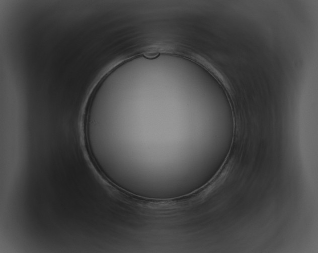 X0000100961434200806241134