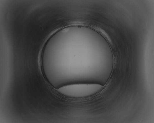 X0000100961435200806241134