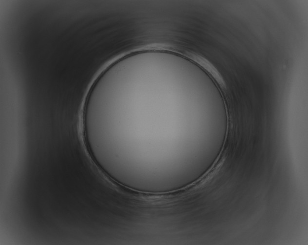 X0000100961436200806241134