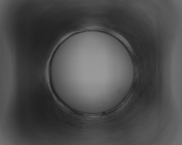 X0000100961439200806241134