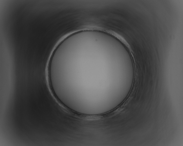 X0000100961440200806241134