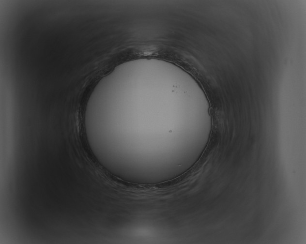 X0000100961442200806241133