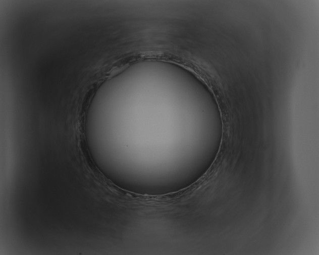 X0000100961445200806241133