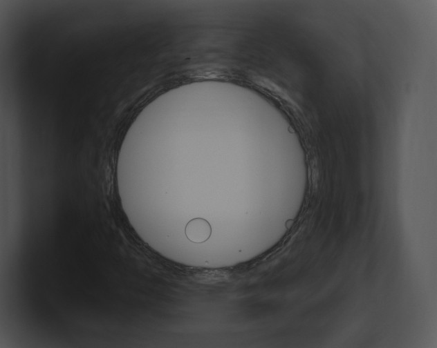 X0000100961446200806241133
