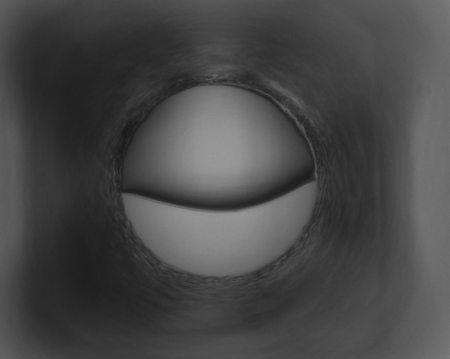 X0000100961447200806241133