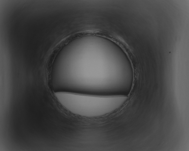 X0000100961448200806241133
