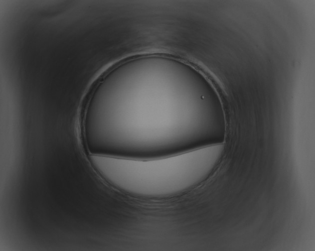 X0000100961460200806241133