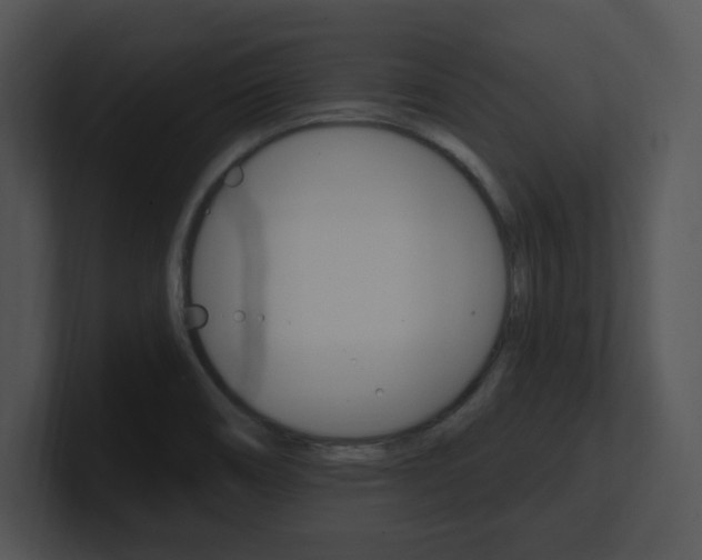 X0000100961466200806241133