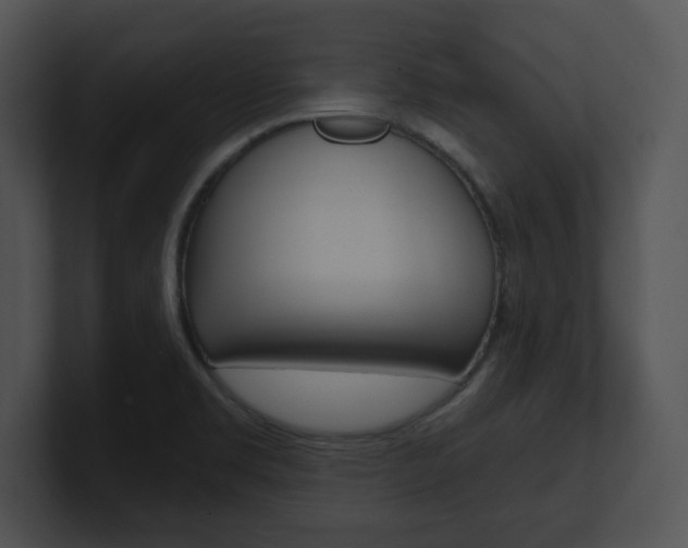 X0000100961469200806241133