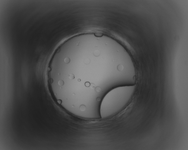 X0000100961471200806241133