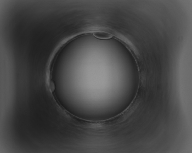 X0000100961472200806241133