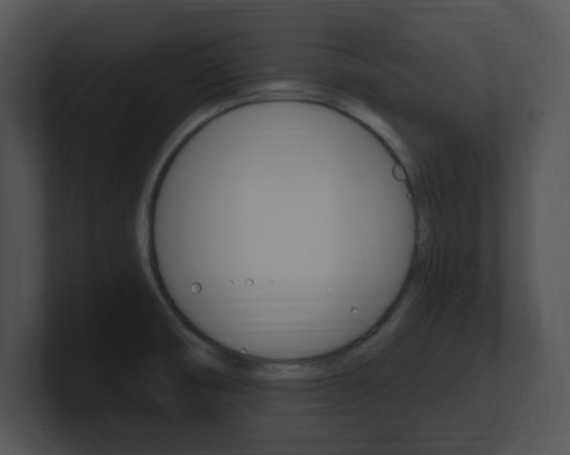 X0000100961474200806241133