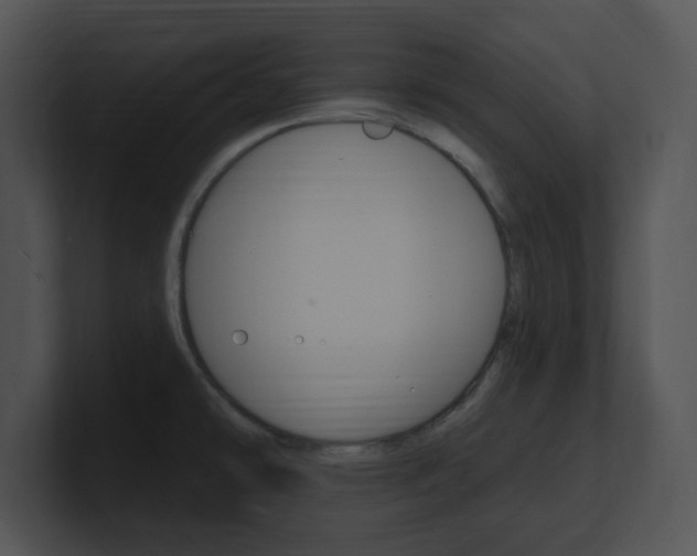 X0000100961478200806241133