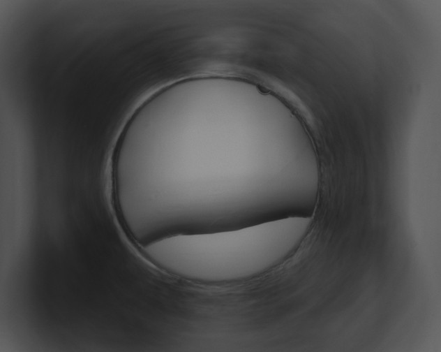 X0000100961479200806241133