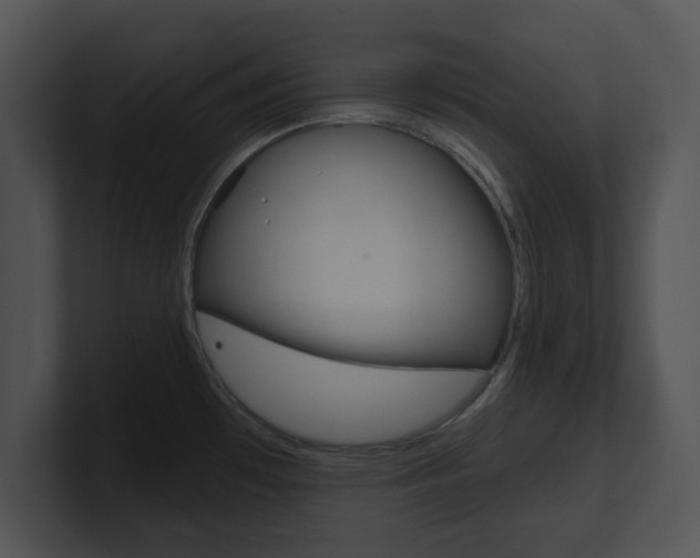 X0000100961481200806241133
