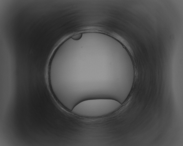 X0000100961482200806241133
