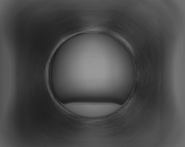 X0000100961483200806241133