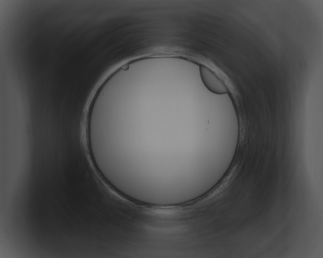 X0000100961486200806241133
