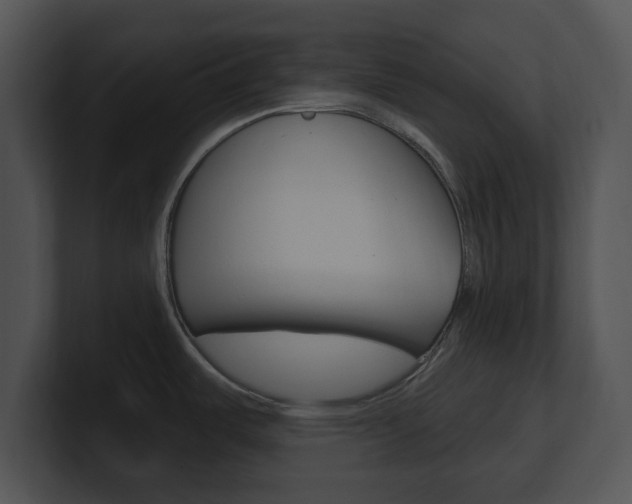 X0000100961487200806241133