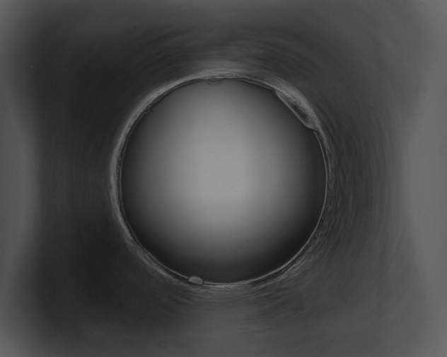 X0000100961488200806241133