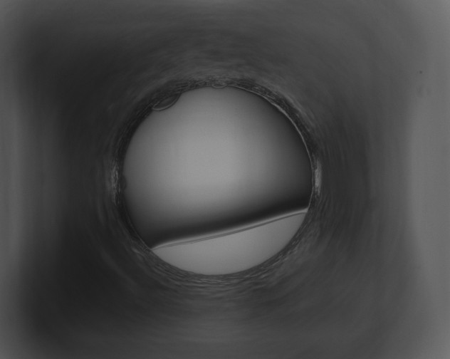 X0000100961492200806241132