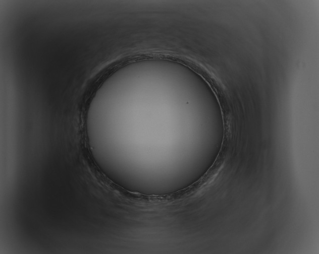 X0000100961494200806241132