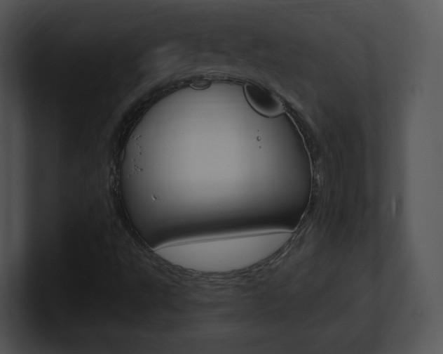 X0000100961495200806241132