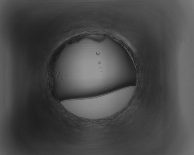 X0000100961496200806241132