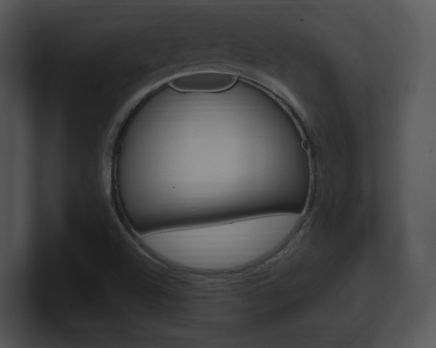X0000100961504200806241132
