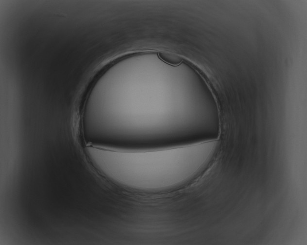 X0000100961507200806241132