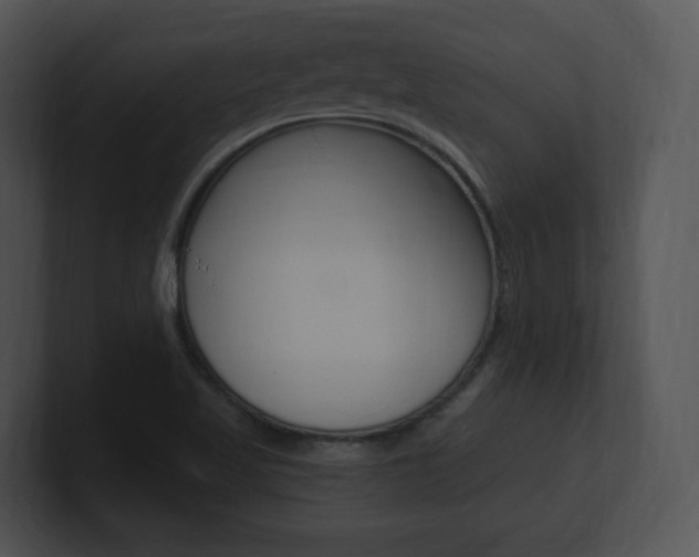 X0000100961509200806241133