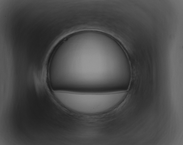 X0000100961511200806241133