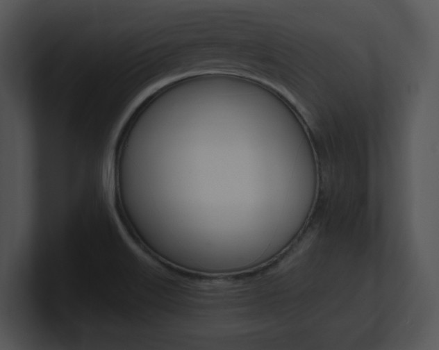 X0000100961515200806241133