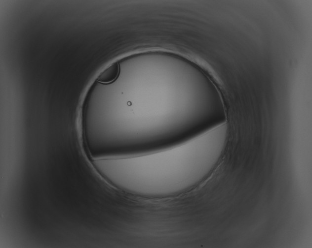 X0000100961516200806241133
