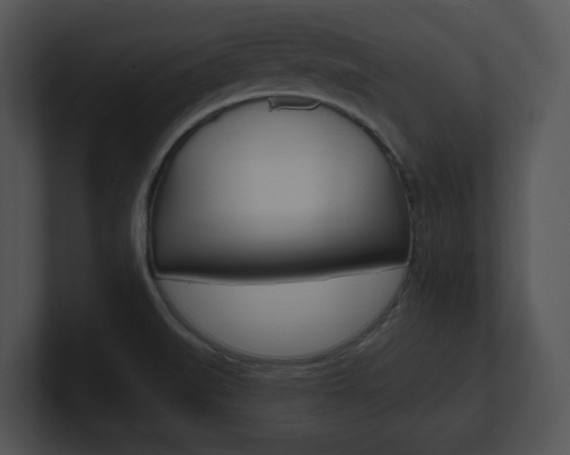 X0000100961519200806241133
