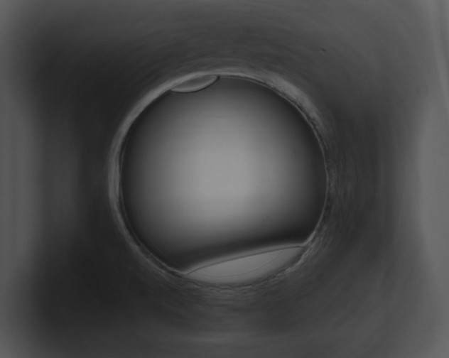 X0000100961520200806241133