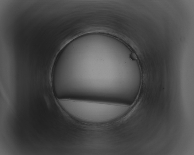 X0000100961521200806241133