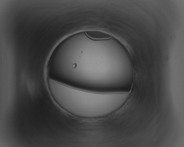 X0000100961527200806241133