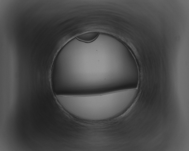 X0000100961529200806241133
