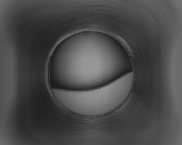 X0000100961530200806241133