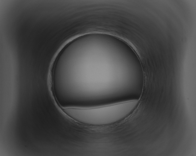 X0000100961531200806241133