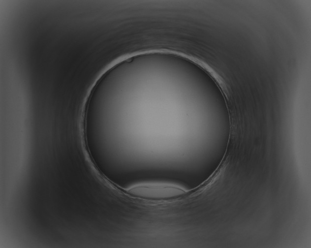 X0000100961534200806241133