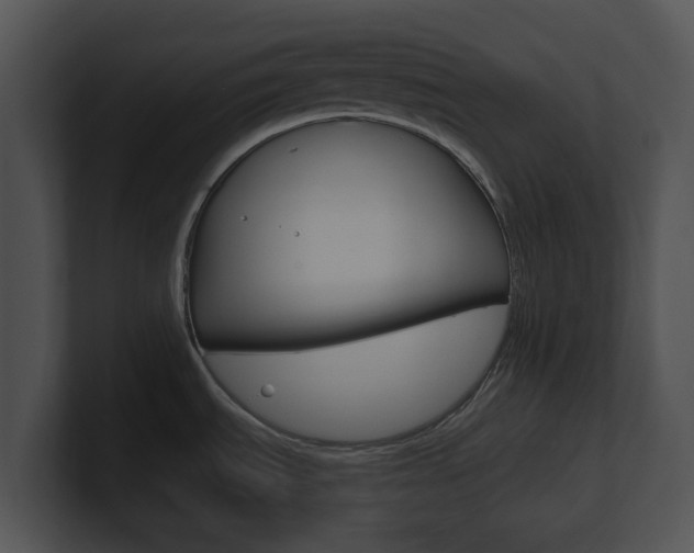 X0000100961535200806241133