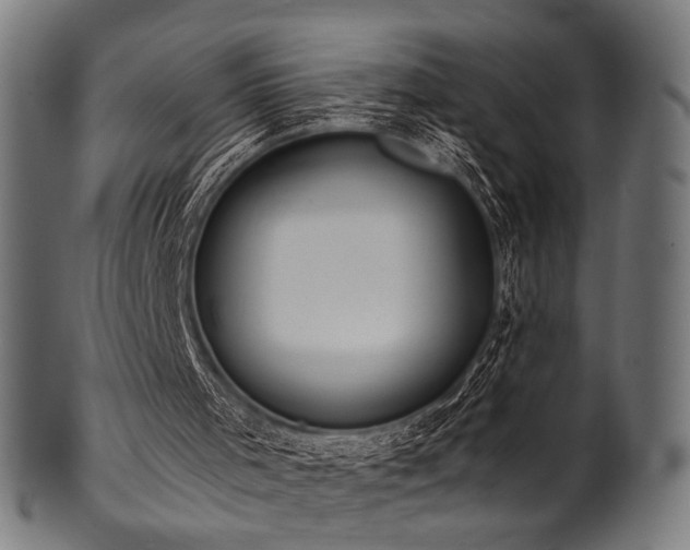 X0000100960001200806241538