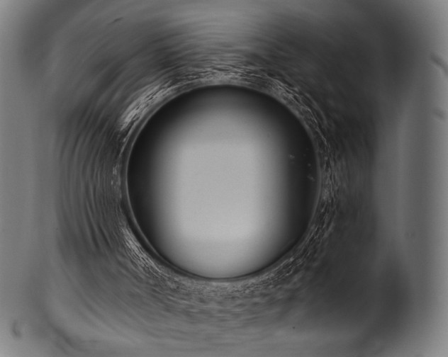 X0000100960002200806241538