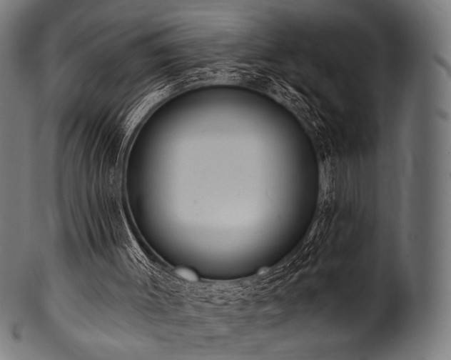X0000100960003200806241538